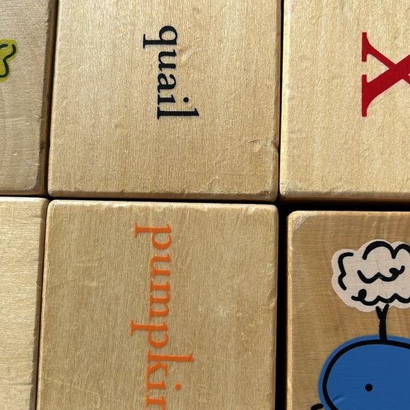 Pottery Barn Kids Wooden Alphabet Blocks with pictures and Letters - Picture 5 of 9